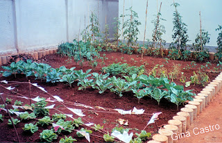 Horta sítio