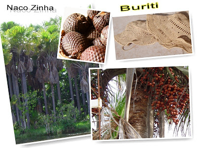 Buriti