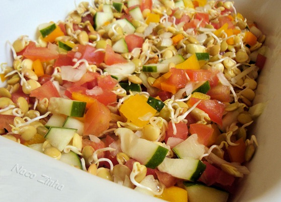 Salada com brotos de lentilhas - crudivorismo - Nacozinhabrasil