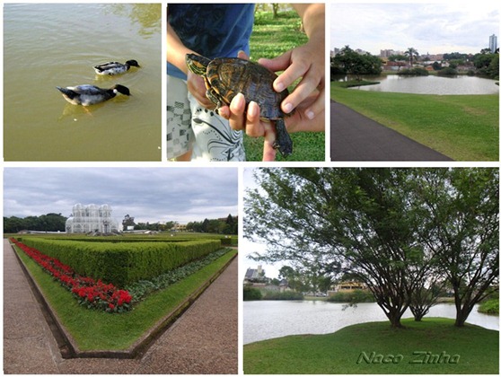 Jardim Botânico Curitiba