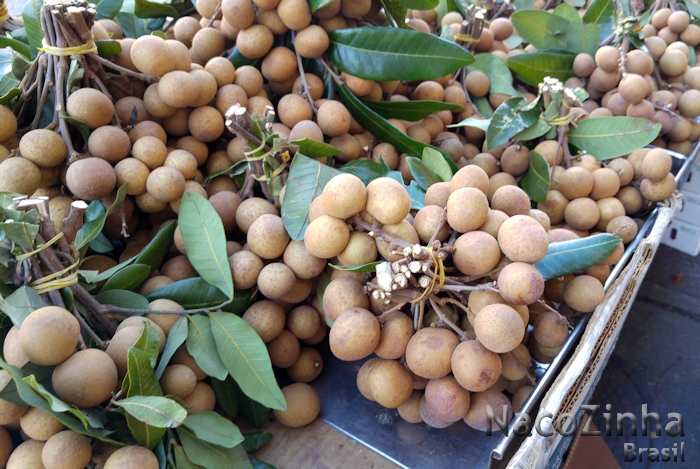 Longan (Dimocarpus longan)