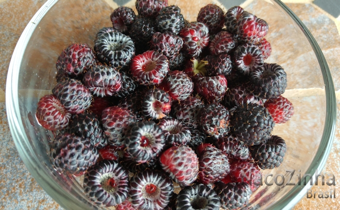 Framboesa preta (Rubus niveus)