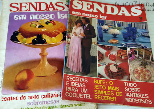 Revista Sendas em Nosso Lar