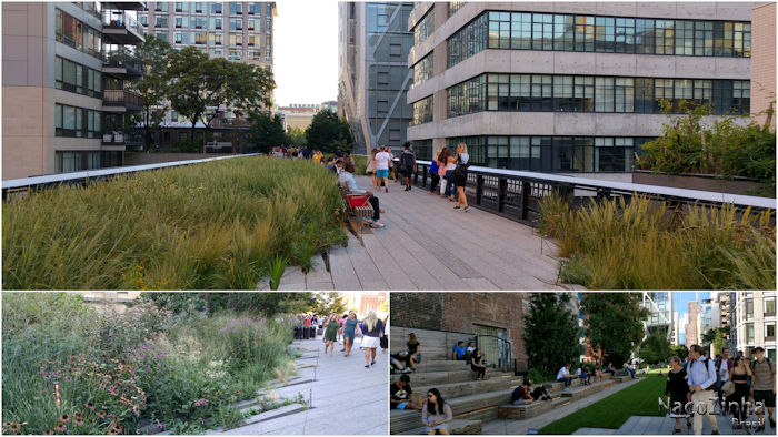 High Line - jardins