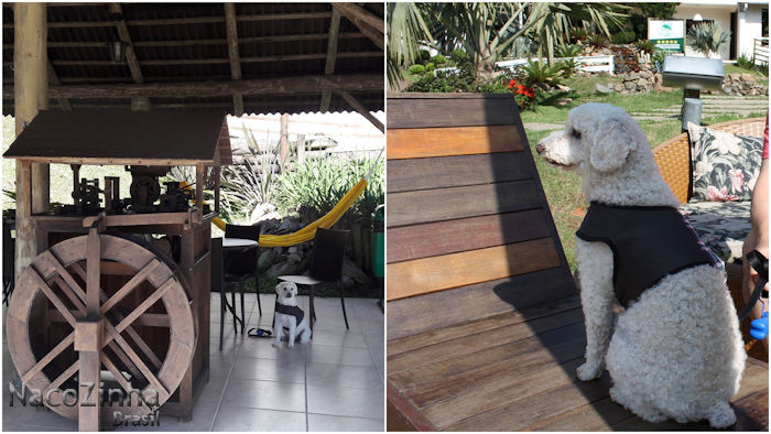 Hotel Fazenda Dona Francisca - hospedagem com cachorro