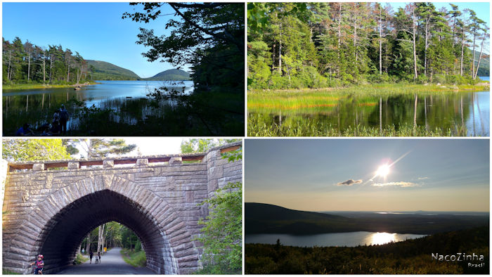 Acadia National Park