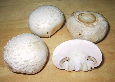 Cogumelo Paris (Agaricus bisporus)