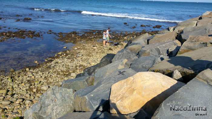 Montauk Point Lighthouse - entorno