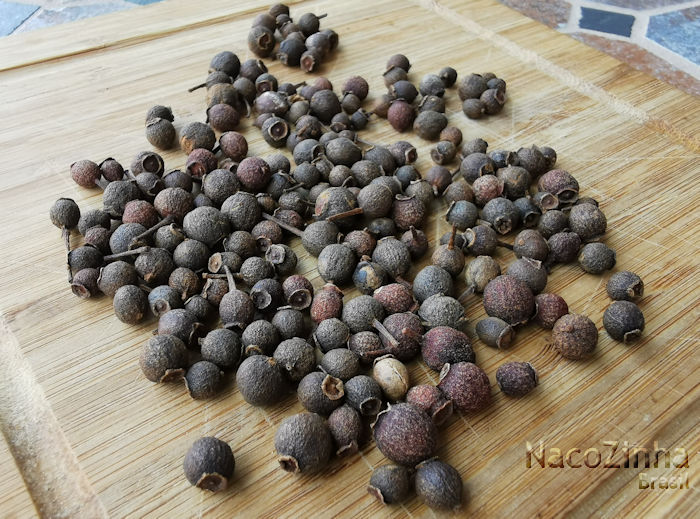 Pimenta-da-jamaica (Pimenta dioica)