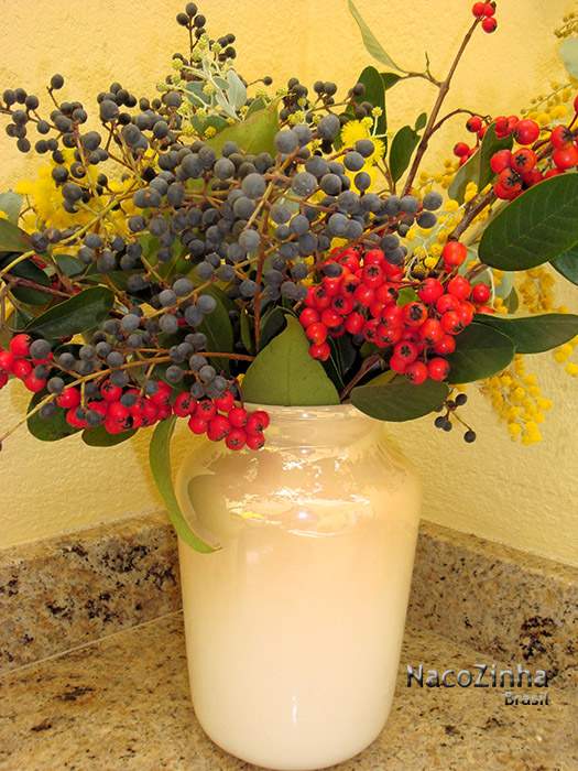 Ardisia crenata